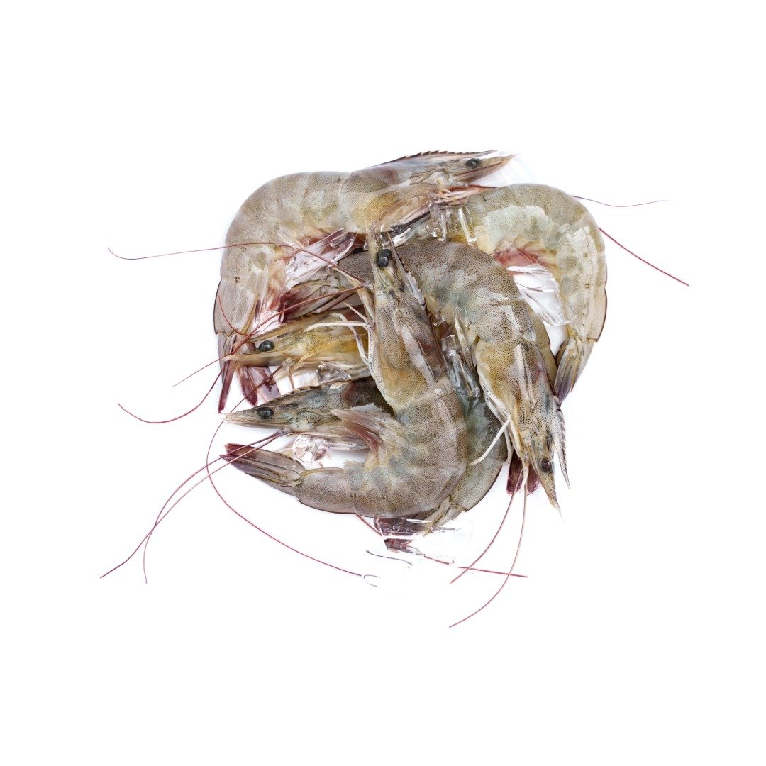 Frozen Shrimp Vannamei (PD Shrimp – 80/120, 100/200)