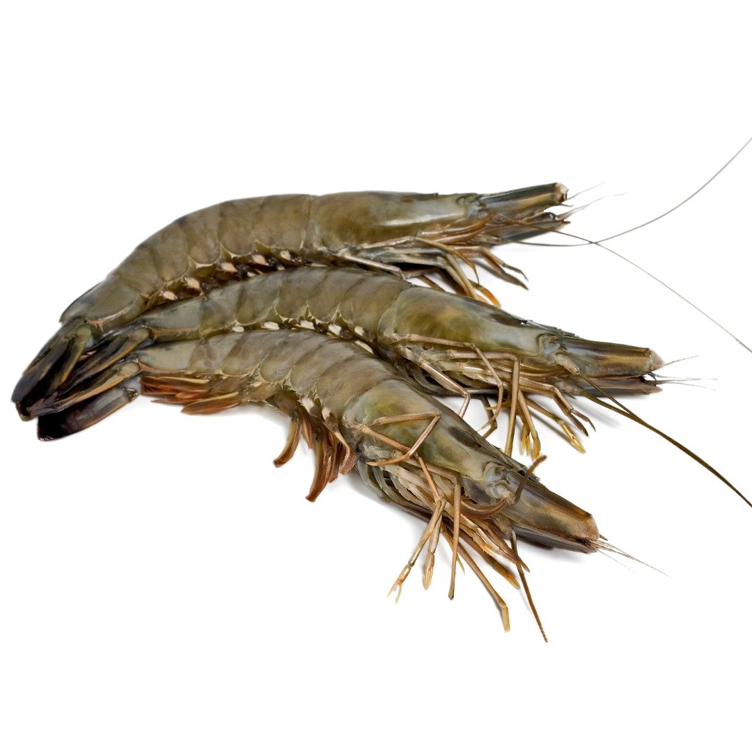 Large Tiger Prawn Fresh (Black Bagda 32/35 Count)