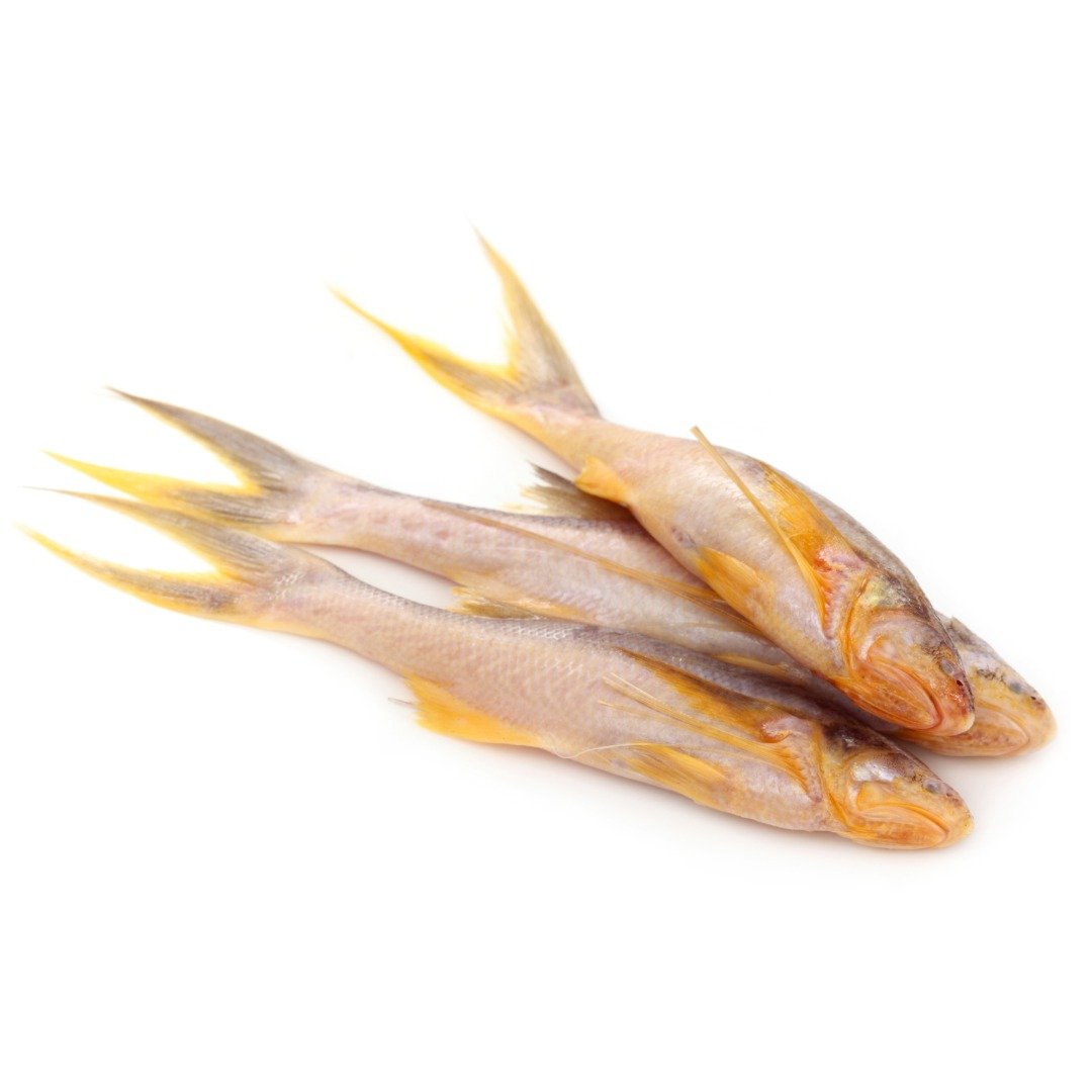 Topshe / Mango Fresh Fish