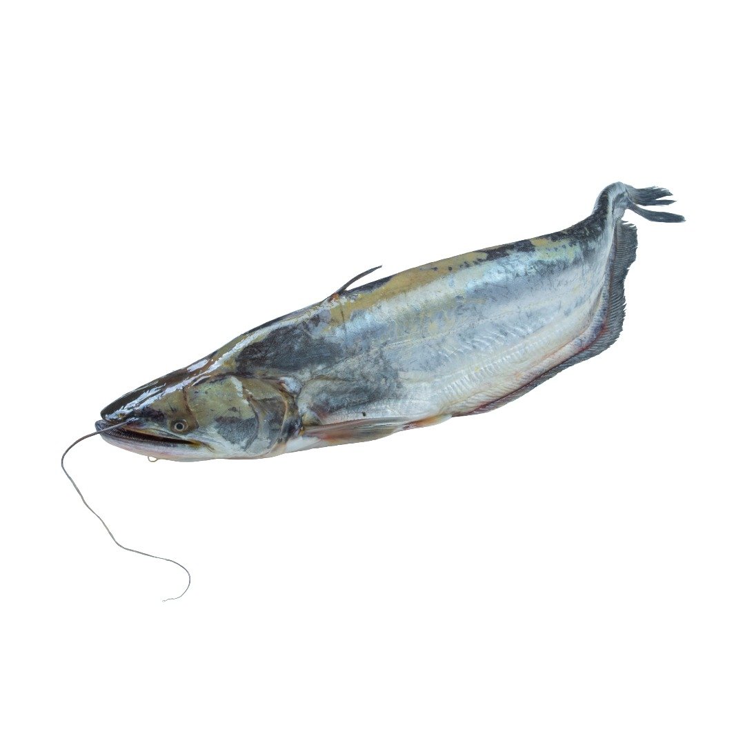 Bowal Fresh Fish