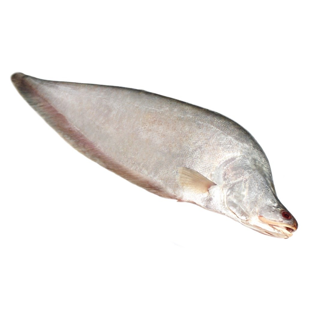 Chital Fresh Fish