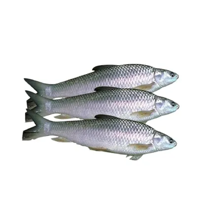 Bata Fresh Fish