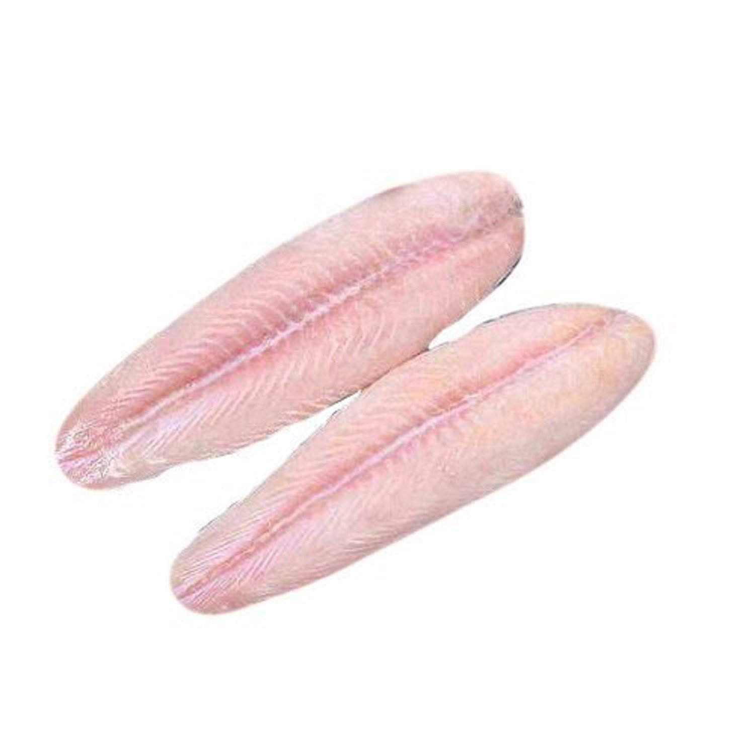 Bhola Bhetki Fillet – Skinless Meat (Above 3 Kg Fish)